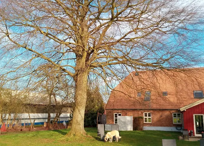 Hotelpension Pfarrhaus ألت شفيرين